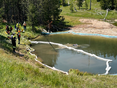 Car crashes into geyser in Yellowstone Park, five passengers survive