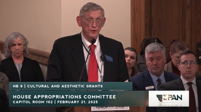 Appropriations committee considers axing funding for some arts and cultural organizations