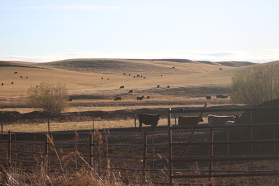 Montana Farmers Union talks small producers, communities during annual event