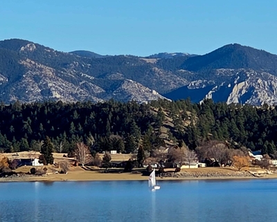 Invasive freshwater jellyfish found near Canyon Ferry Reservoir