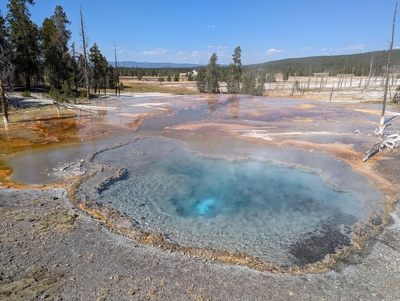 Yellowstone’s ‘thumping’ hot springs