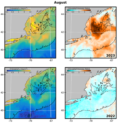 NOAA algae bloom