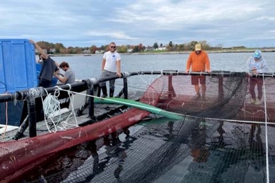 In effort to expand American fish farming, New Hampshire marine biologist joins congressional push