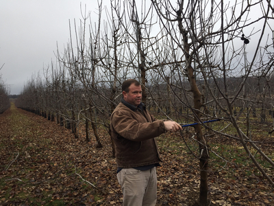 NJ farmers plead for help after April freeze destroyed fruit trees, other crops
