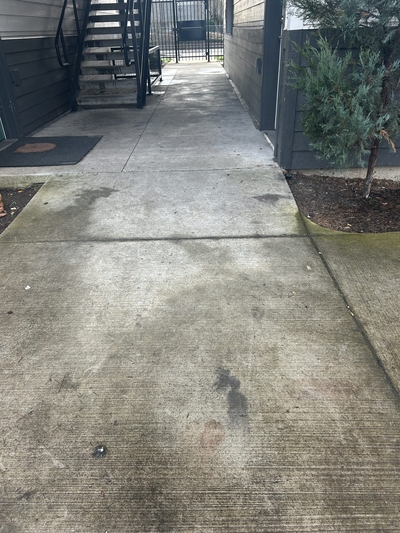 Pair shot by federal officers in Portland had unspecified Tren de Aragua ties, police say