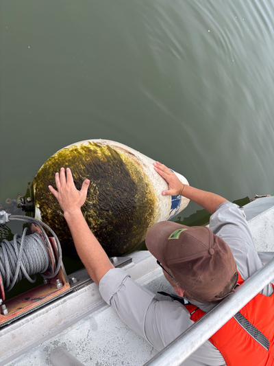 Oregon finds invasive quagga mussel on Prineville Reservoir shoreline