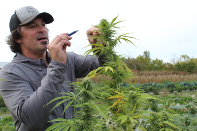 New federal law puts an end to the hemp industry, Oregon businesses say