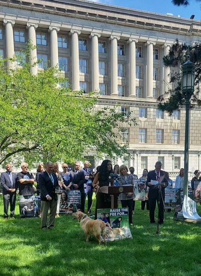 With Bureau of Dog Law Enforcement on the brink, supporters say it’s time for a ‘yes vote’ on licensing fee increases
