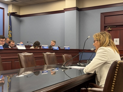 Pa. House committee splits along party lines over regulation proposal for AI chatbots