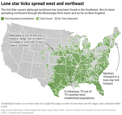 Choropleth map of counties where lone star tick populations are established or reported, as of 2025. Large swaths of the U.S. South, Midwest and East now have established or reported populations, according to the CDC – a marked expansion beyond the tick's historic Southeastern range.