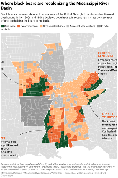 Choropleth map showing counties in Illinois, Missouri, Kentucky, Tennessee, Mississippi and Alabama where black bear populations are established or expanding, as well as counties with sporadic bear sightings. The map shows expanding ranges in eastern Kentucky, northeastern Alabama, middle Tennessee, central Mississippi, and parts of western and eastern Missouri.