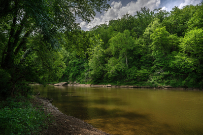 The Duck River needs millions of dollars and years to find a balance for a growing need for water in Middle Tennessee with the river's health, a state official said. (Photo: John Partipilo/Tennessee Lookout)