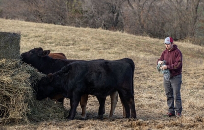 Novice farmers face big challenges making it in today’s ag sector
