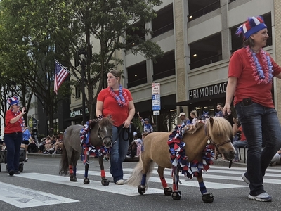 North Carolina celebrates America 250 (Photo Gallery)