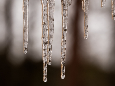 Icicles form in northwest Longview during the early hours of the winter storm on Saturday.