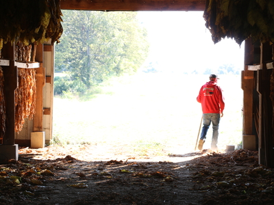 Anderson walks out of the tobacco barn.