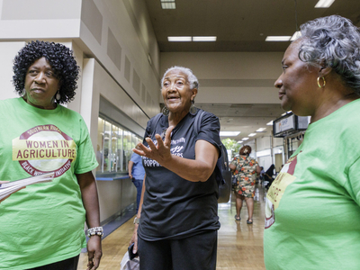 Delta Harvest Neighborhood Market aims to support farmers and Jackson shoppers