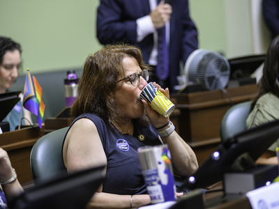 Compromises on assault weapons, casino smoking and CRMC reform mark end of 2025 session