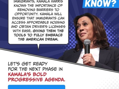 Pro-Trump dark money network tied to Elon Musk behind fake pro-Harris campaign scheme