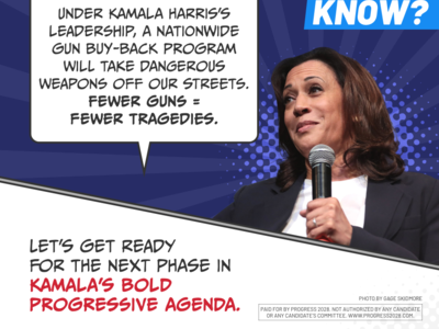 Pro-Trump dark money network tied to Elon Musk behind fake pro-Harris campaign scheme