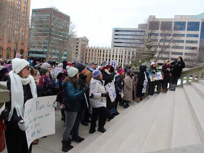 The People’s March draws hundreds to the Michigan Capitol before Trump’s inauguration