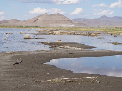 Upstream solutions lead to downstream problems for Tribal plants and animals