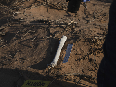 Deaths in the New Mexico desert surge after Texas’ border crackdown reaches El Paso