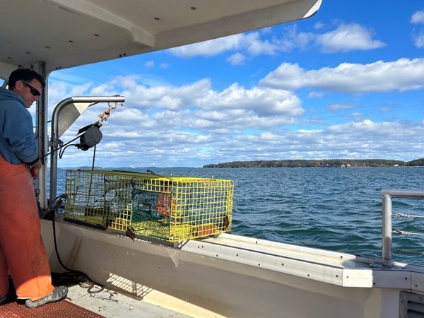 U.S. Supreme Court declines to take up Maine lobster boat tracking appeal