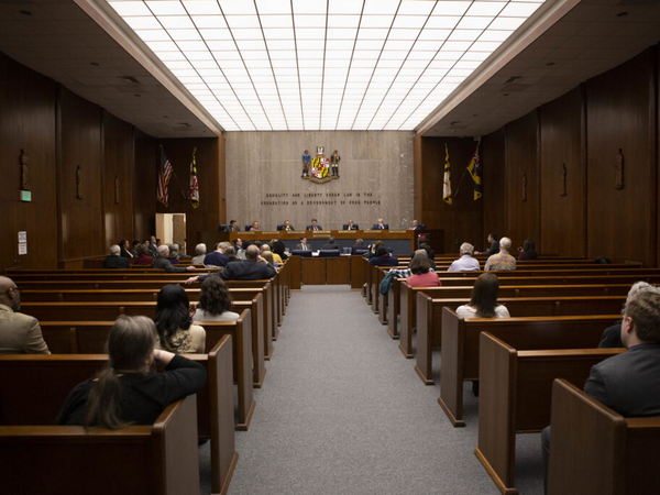 Baltimore County ballot explainer: &amp;nbsp;County Council expansion, Inspector General powers and more