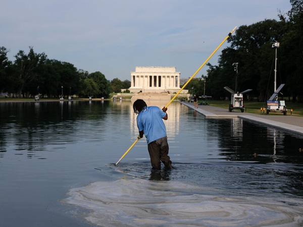 When your local reflecting pool or pond turns green with algae nature has better solutions