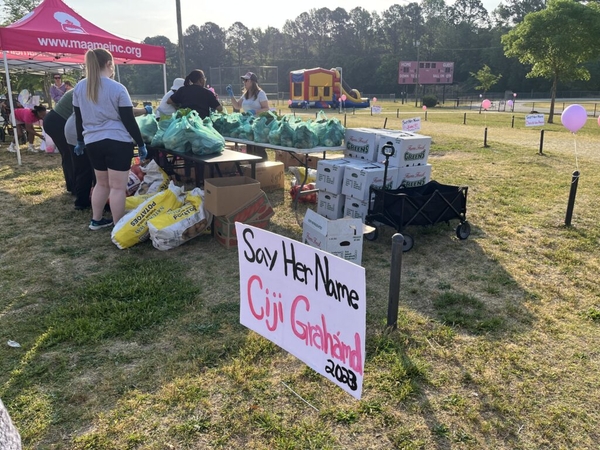 Attempts to lower the rate of Black maternal deaths in NC face new challenges