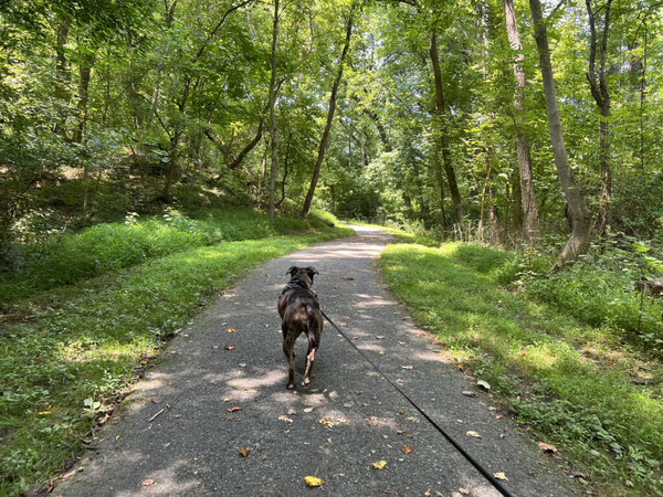 Tick season is getting longer. So is the list of states trying to keep up.