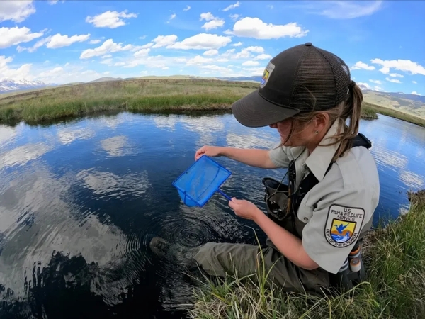 States sue feds over endangered species rollbacks
