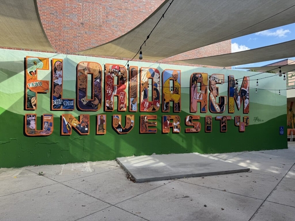 Juvenile arrested after 11 people shot near FAMU homecoming