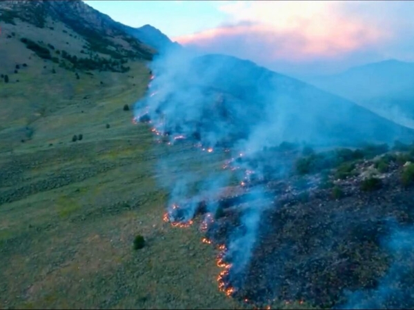 Firearm target shooting temporarily banned in these wildlife areas across 16 Utah counties