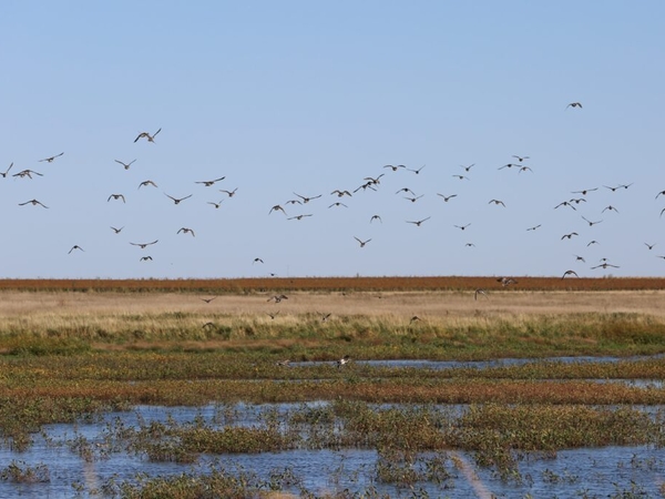 Game, Fish and Parks doesn’t disclose employee’s landowner status in lake refuge repeal