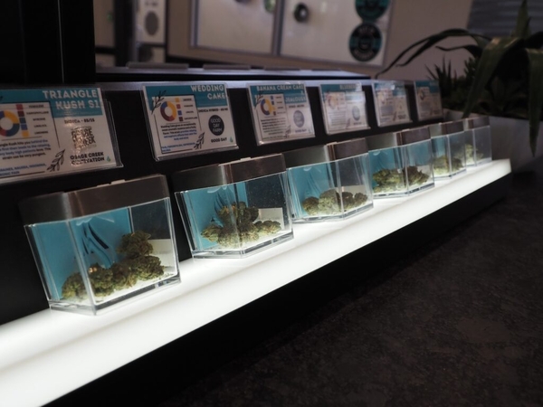 Issue Spotlight: What Arkansas gubernatorial candidates say about legalizing recreational marijuana