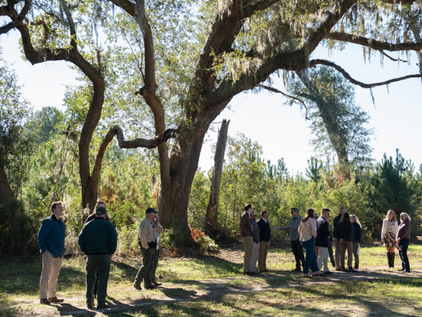 ‘Cause for celebration’: SC opens 7th state forest