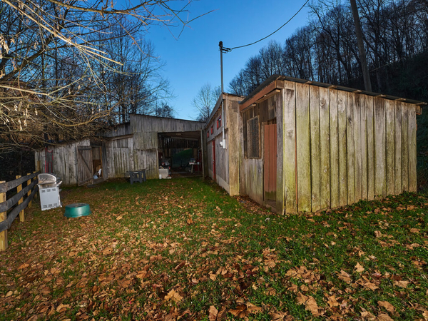 WV pays $4.4M in historic child abuse case after CPS didn’t rescue kids from slave-like conditions