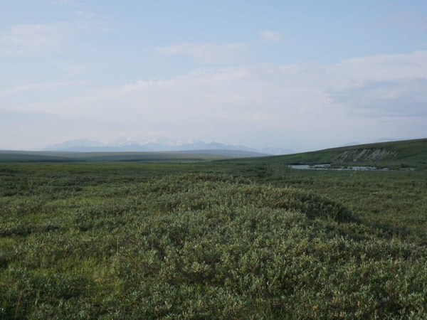 With industry wary of Arctic Refuge, Alaska’s own government plans a lonely quest for oil