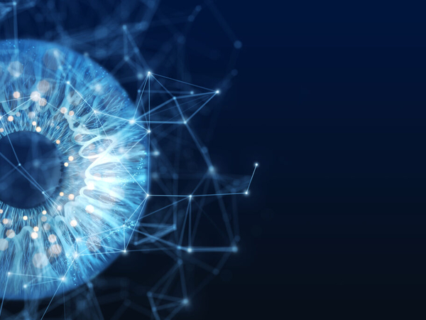 Every Cochise County police agency will soon use the same iris scanners ICE deploys