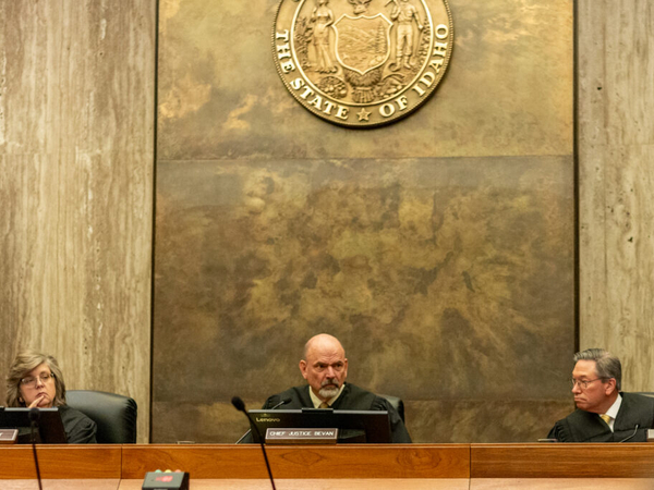 Idaho Supreme Court says new law could delay adoption, parental termination cases