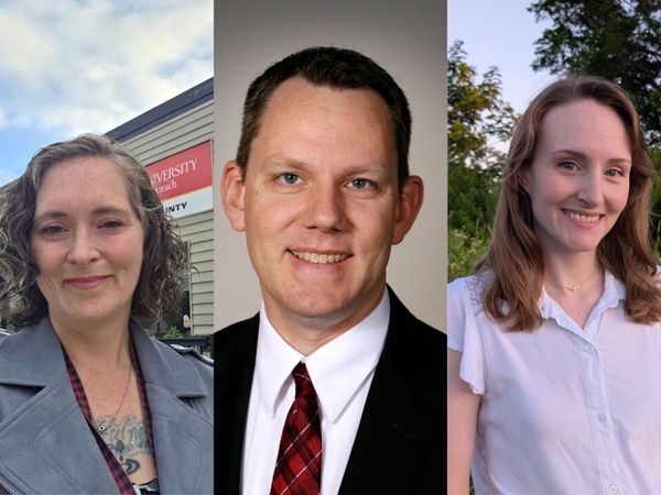 Three Democrats compete in Iowa 4th Congressional District primary