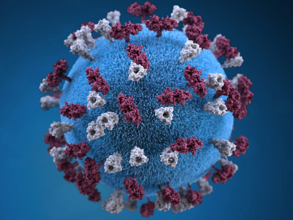 Kansas measles cases grow to five; community transmission not seen