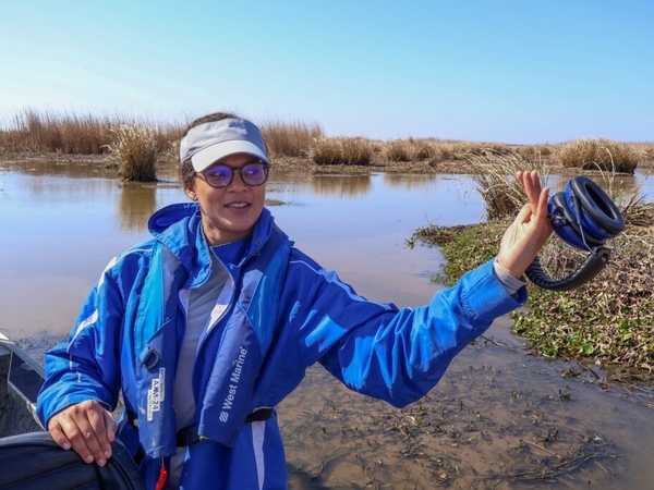 LSU, Rhode Island received $4M grant to expand wetlands science work