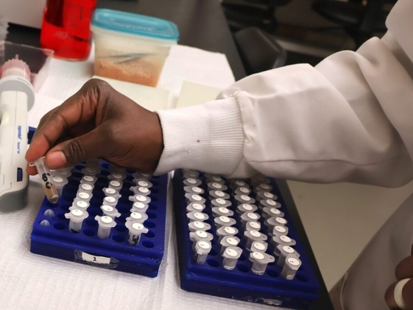 Inside the lab at the heart of Louisiana’s mosquito-borne disease prevention network