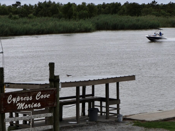 Marsh-building river diversions have local support at the Bird’s Foot Delta, but money still needed