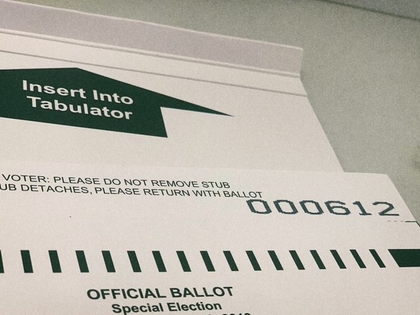 Michigan court tosses Republican suit challenging overseas voting for military spouses and children