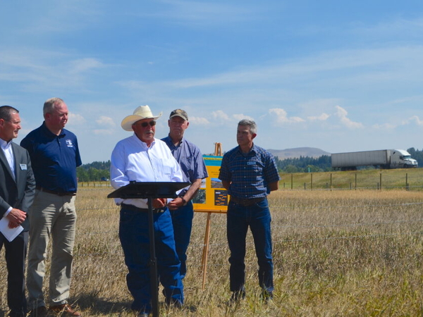 Montana to study adding more wildlife crossings
