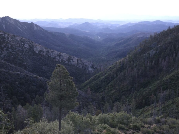 U.S. Sen. Heinrich decries committee’s ‘backdoor’ vote to repeal ‘Roadless Rule’ in national forests
